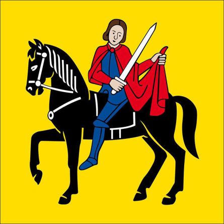 Jonschwil flag